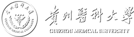 2026世界杯官网